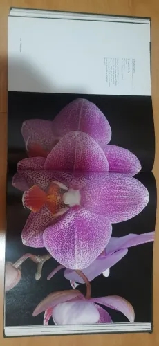 Livro das Orquídeas- by Jack Kramer