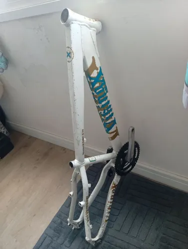 Quadro viking warrior