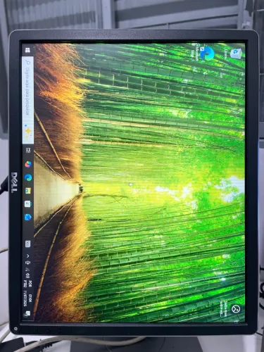 Monitor Dell ips 19 polegadas