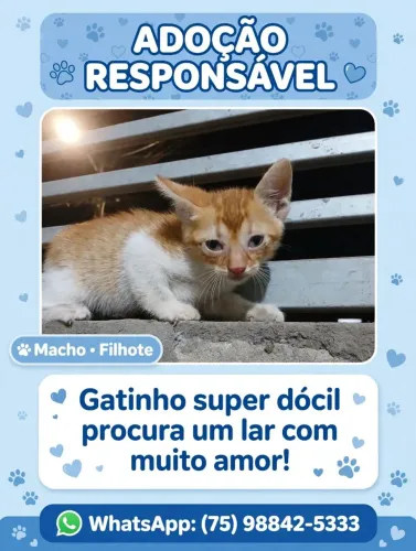 Para doação 