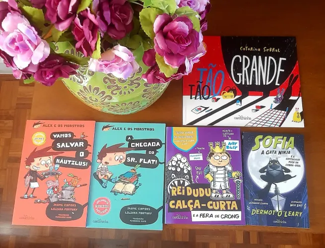 Kit de 5 livros da CAROCHINHA