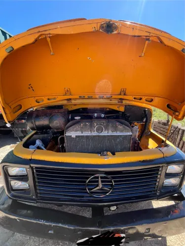 Caminhão Mercedes 1113