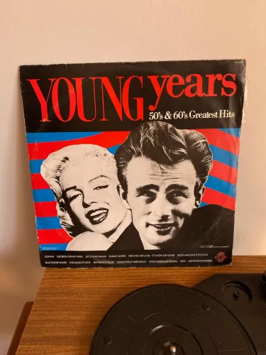 LP VINIL YOUNG YEARS