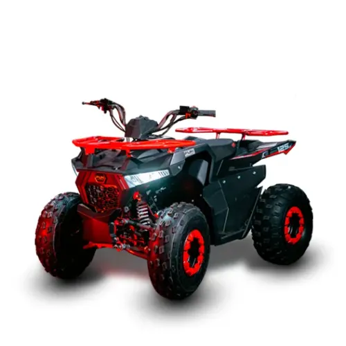 QUADRICICLO FUN MOTOR SHARK 125 0KM