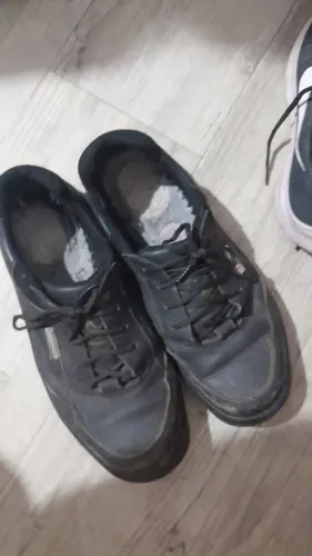 Bota