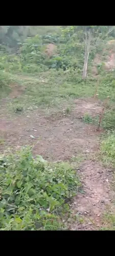 Vende se ou troco em algo do meu interesse 