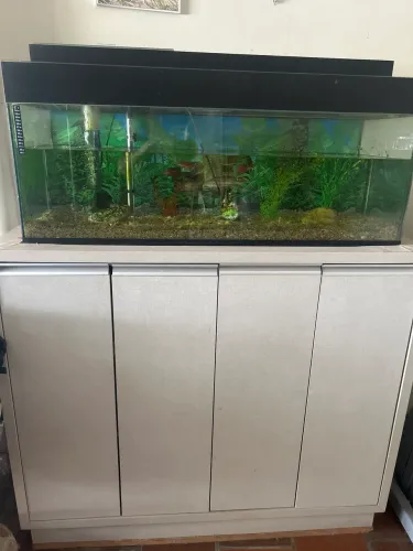 Aquário 250 litros completo com móvel 