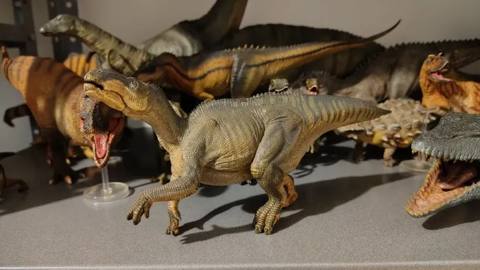 Iguanodon PAPO