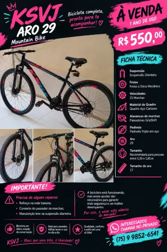 Bicicleta