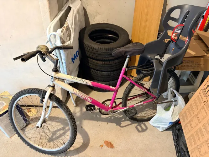 Bicicleta com Cadeirinha