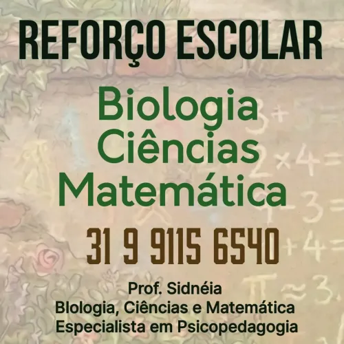 Reforço e Acompanhamento Escolar