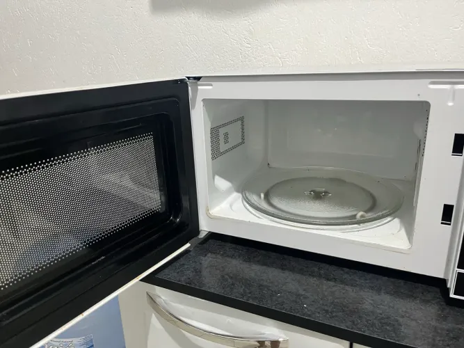 Microondas novo 300