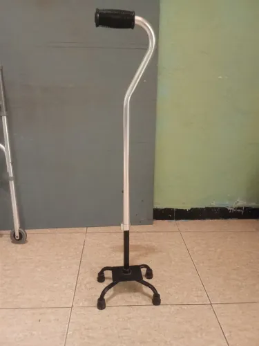 Vendo bengala