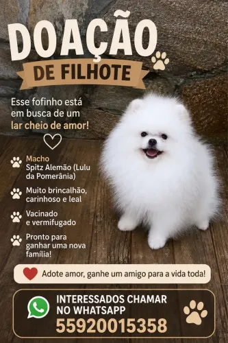 caso tenha interesse entrar em contato!