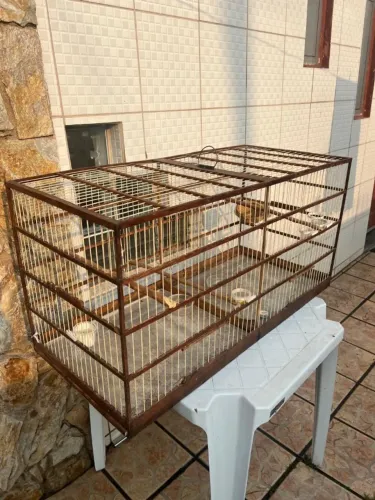 Gaiola grande (passaros)