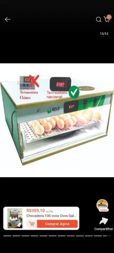 Eclo chocadeira para 100 ovos com giragem automático