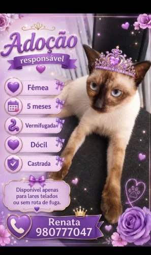 Adoção Responsável 