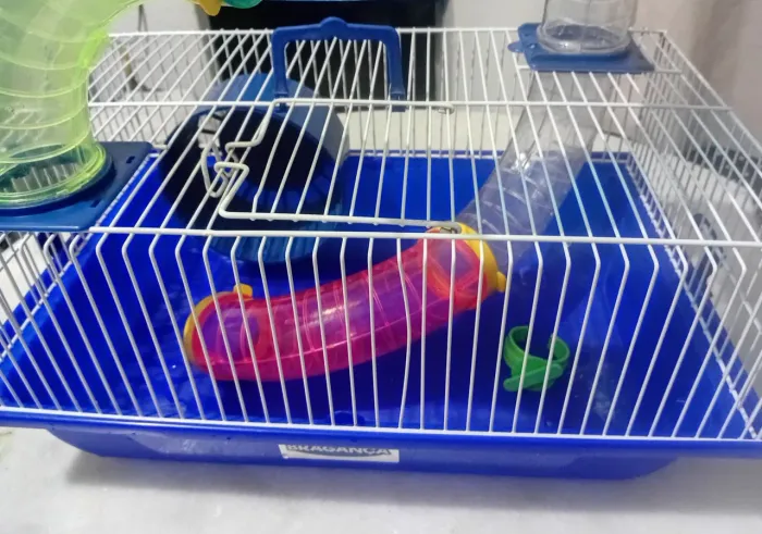 Gaiola para hamster 