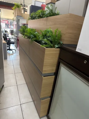 Vasos com plantas