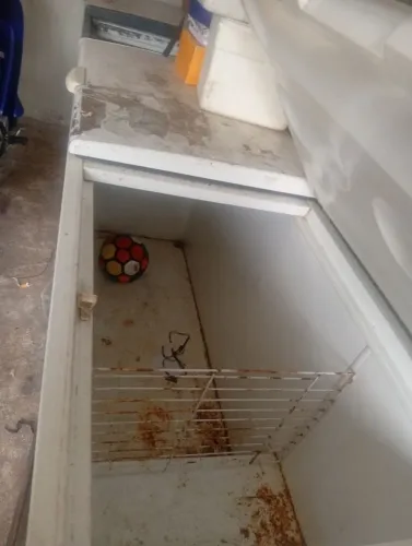 Olá os frezzer precisa de manutenção 1 só esfria  1 gela e congela mexer nos fios e ventoi