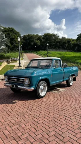 Chevrolet C-10 2.5/4.1 1979
