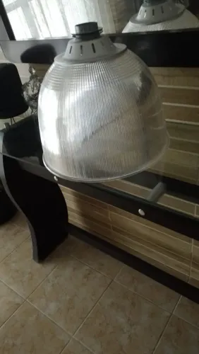 250