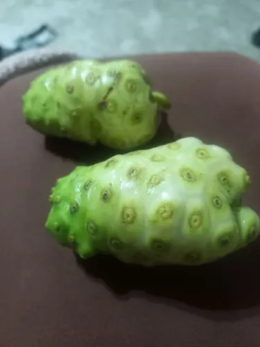 Noni