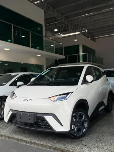 BYD Dolphin Mini (Elétrico) 2027