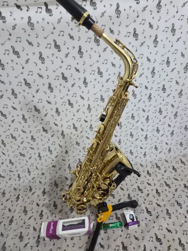 Sax alto Shelter seminovo Promoção!!!