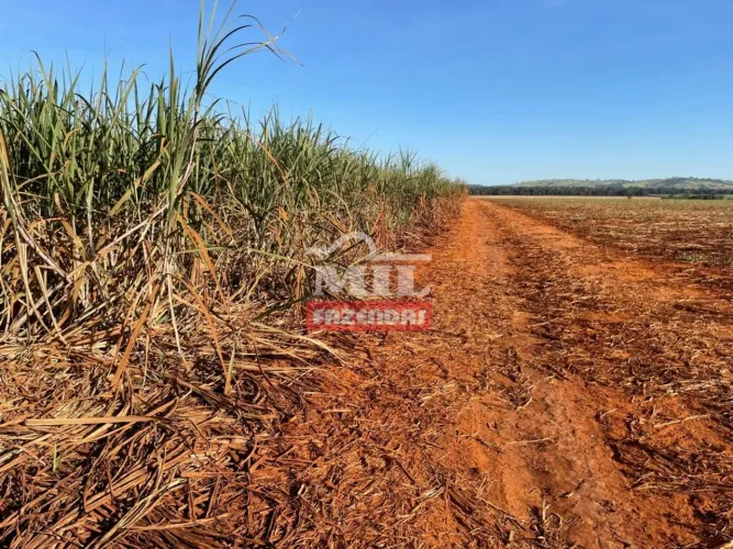 Fazenda Agrícola a 30 km Ceres-GO. (150 Alqueires)