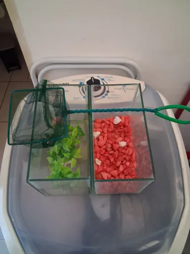 Vendo dois aguarios com plantas de plásticos, pedras e uma pegador.