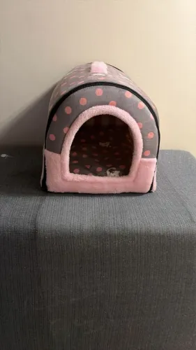 Casa pra cachorro fêmea 