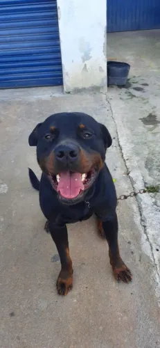 Doação