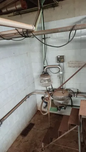 Ordenha linha baixa 6 x 12.