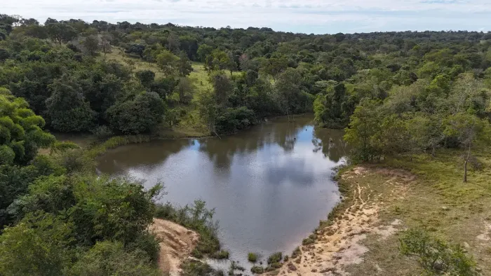 Fazenda a venda em Mairipotaba - Goiás!!!
