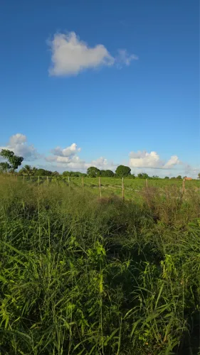 OPORTUNIDADE EM PRAIA BELA - 2 HECTARES ?