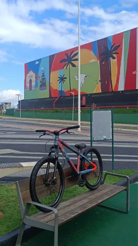 bicicleta viking x