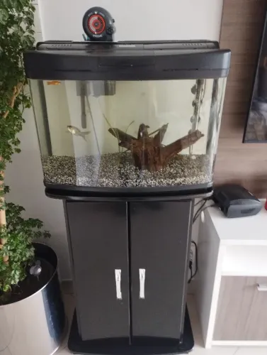 Aquário 60 litros completo com móvel 