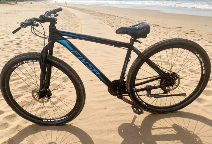 Bicicleta aro 29