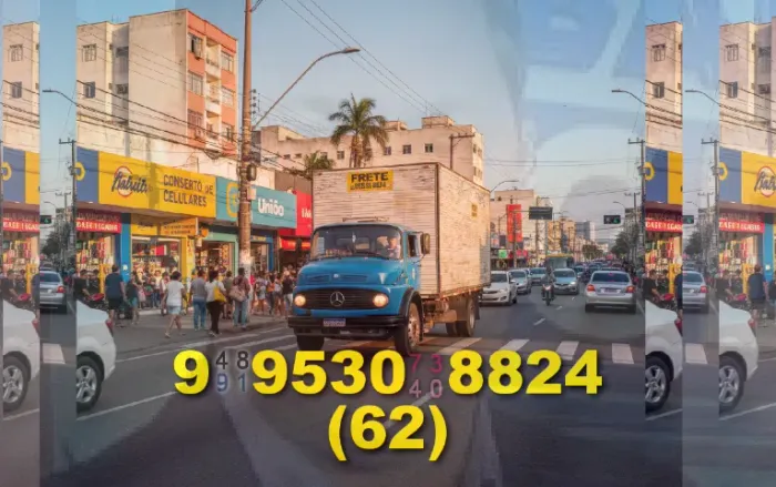 Frete com Luiz: transporte seguro e rápido | Entre em contato para orçamentos!
