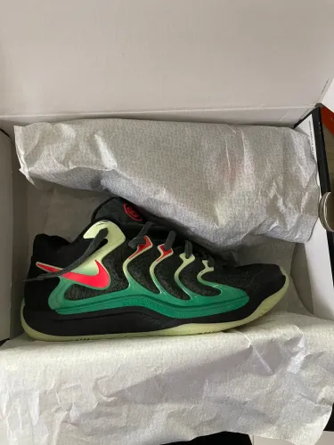 Kd 17 Sunrise