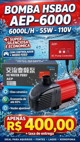 Vende-se Bomba HSBAO AEP- 6000L/H