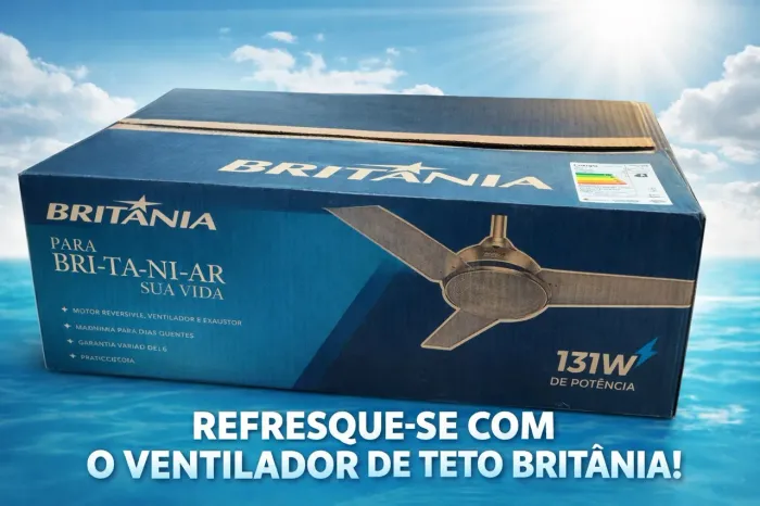 Ventilador de teto 