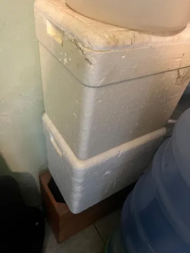 2 caixas de isopo 10 litros