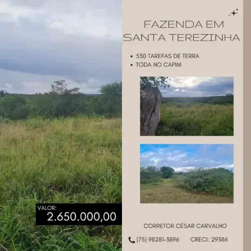 FAZENDA EM SANTA TEREZINHA - 530 TAREFAS