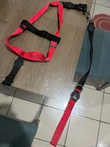 Coleira para cachorro com regulagem