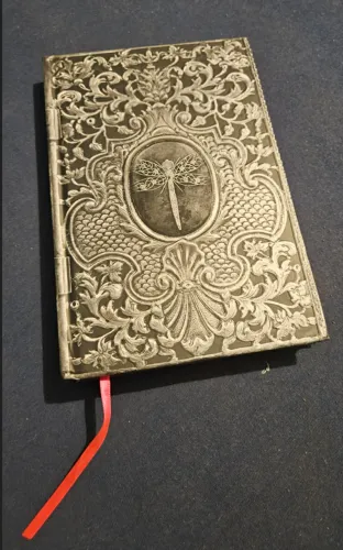 Livro A Menina Submersa: Um caso de amor para toda vida. Editora Darkside Limited Edition