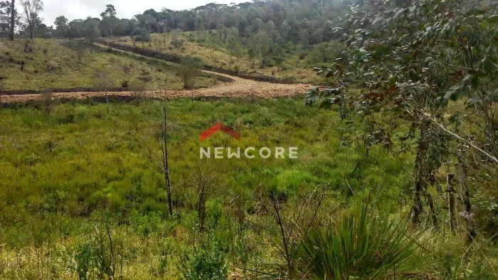 Chácara em Rua São Josemaria Escrivá - Colônia Murici - São José dos Pinhais/PR
