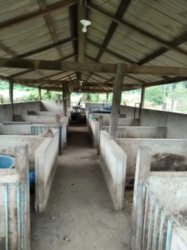 Chácara de 27000m² em Candeias