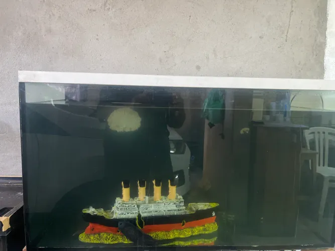 Aquário desapego